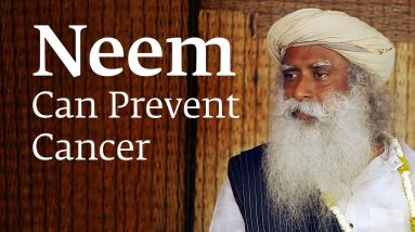 How Consuming Neem Can Prevent Cancer – Sadhguru 6 1680651585 maxresdefault