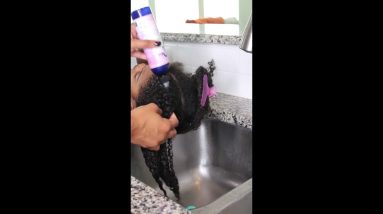 Wash day using| Reagan Sanai For Eczema Care and Kids Natural Hair Care 2 1680691352 maxresdefault