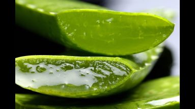 How To Use Aloe Vera For Eczema 12 1680898239 maxresdefault
