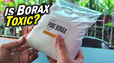 The Shocking Truth About BORAX: Is It TOXIC or SAFE? (sodium tetraborate) 16 1680935174 maxresdefault