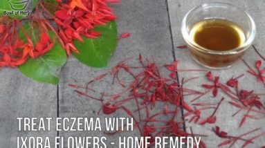 How To Treat Eczema with Ixora Coccinea Oil - DIY Recipe | Bowl of Herbs 18 1680993182 hqdefault