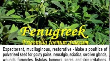 Eczema All Natural Herb Treatments That You Can Make At Home 16 1681079416 hqdefault