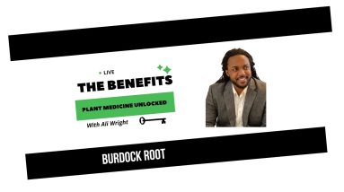 The Benefits: Plant Medicine Unlocked - Burdock Root 6 1681124999 maxresdefault