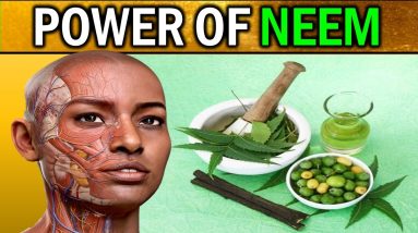 14 Health Benefits of NEEM : Discover Natures Healing Secrets 10 1681285917 maxresdefault