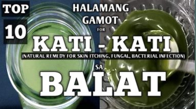 TOP 10 PLANTS FOR SKIN ITCHING, BACTERIAL & FUNGAL INFECTION || HALAMANG GAMOT SA KATI-KATI SA BALAT 4 1681337170 maxresdefault