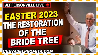 Easter 2023 The Restoration Of The Bride Tree 62-0422 ★ Branham Tabernacle Live Joseph Branham 8 1681369618 maxresdefault