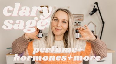 1681423768 maxresdefault