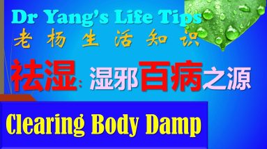 1681448882 maxresdefault