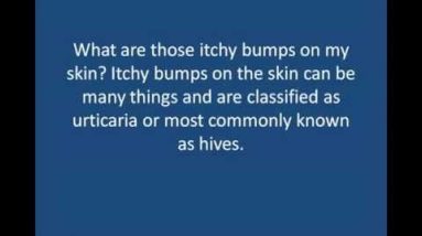 1681494023 hqdefault