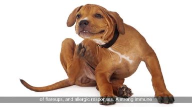 1681645644 maxresdefault