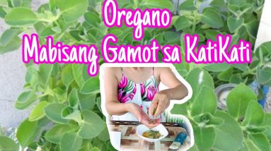 1681649328 maxresdefault