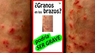 1681757984 maxresdefault