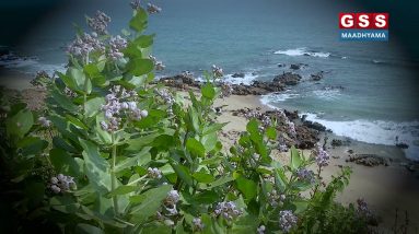 1681767289 maxresdefault