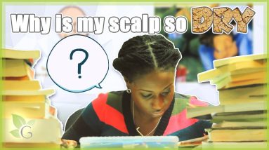 1681785797 maxresdefault