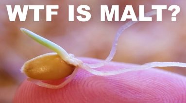 1681807997 maxresdefault