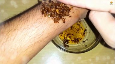 1681830348 maxresdefault