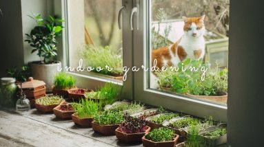 1681852686 maxresdefault