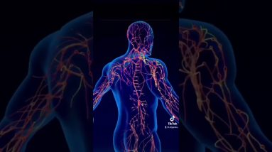 1681859900 maxresdefault