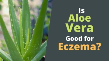 1681922624 maxresdefault