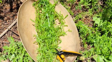 1681952606 maxresdefault