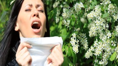 DIY Allergy Relief (Conditions A-Z) 8 1681997121 maxresdefault