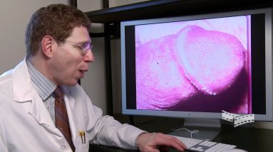 1682081156 maxresdefault