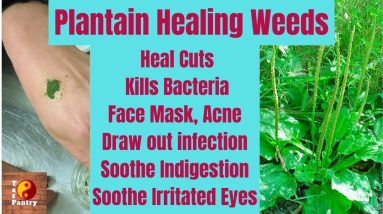 1682125851 maxresdefault