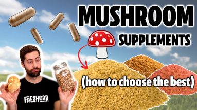 1682244383 maxresdefault