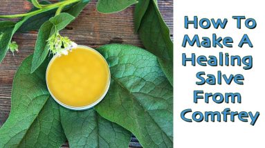How To Make An Herbal Salve - Comfrey. (Uses For Healing Salves) 6 1682279338 maxresdefault