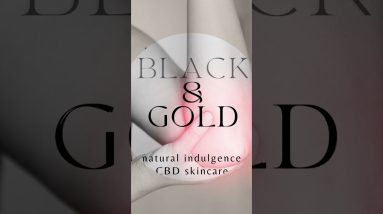 1682281558 maxresdefault