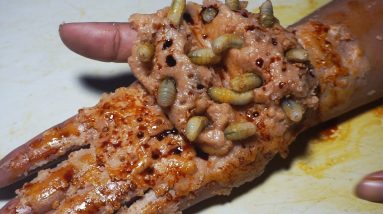 1682288856 maxresdefault