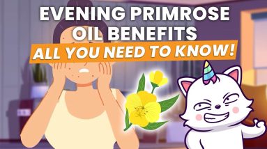 Evening Primrose Oil Benefits - All You Need to Know! 4 1682300969 maxresdefault