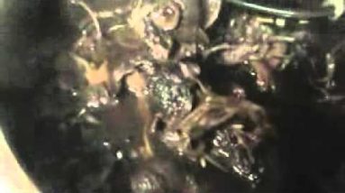 Making 5 Flower Tea for Reena's Eczema 8 1682310260 hqdefault