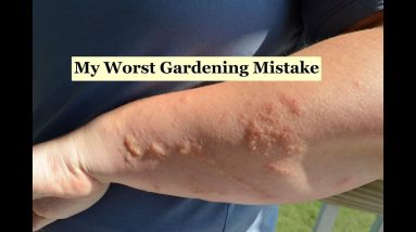 1682345796 maxresdefault