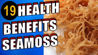 19 Amazing Health Benefits & Uses of Sea Moss For Skin, Hair Face & Weight Loss 14 1682376249 maxresdefault