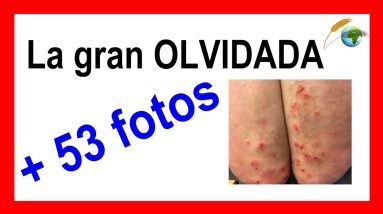 1682386396 maxresdefault