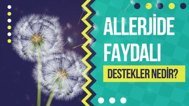 1682439803 maxresdefault