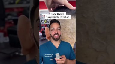 1682464480 maxresdefault