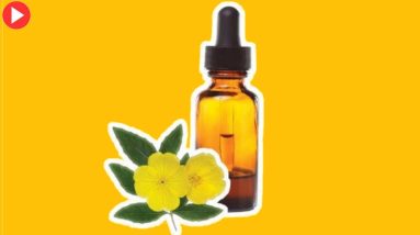 Evening Primrose Oil Heres what you need to know |How it Heals 18 1682532728 maxresdefault