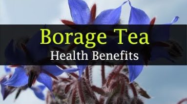 1682537774 hqdefault