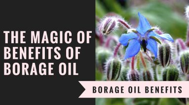 The Magic Of Benefits Of Borage Oil 6 1682554959 maxresdefault
