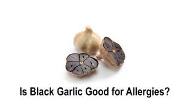 1682616748 hqdefault