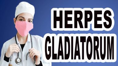 1682667087 maxresdefault