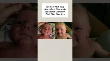 1682667556 maxresdefault