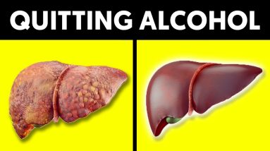 1682816185 maxresdefault