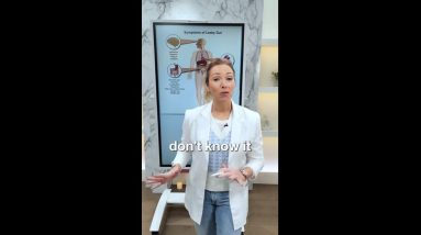 1682843636 maxresdefault