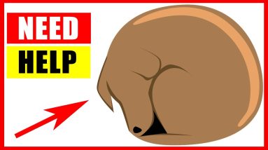 1682873212 maxresdefault