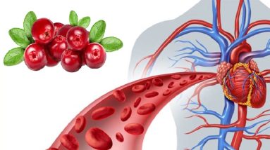 What Happens To Your Body When You Eat Cranberries Every Day 12 1682932068 maxresdefault