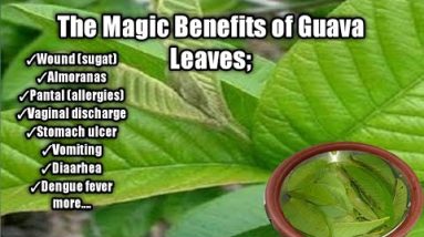 1683080731 hqdefault