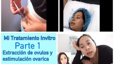 Mi Invitro FIV, Inyecciones y extracción de huevitos Parte 1 2 1683438775 maxresdefault